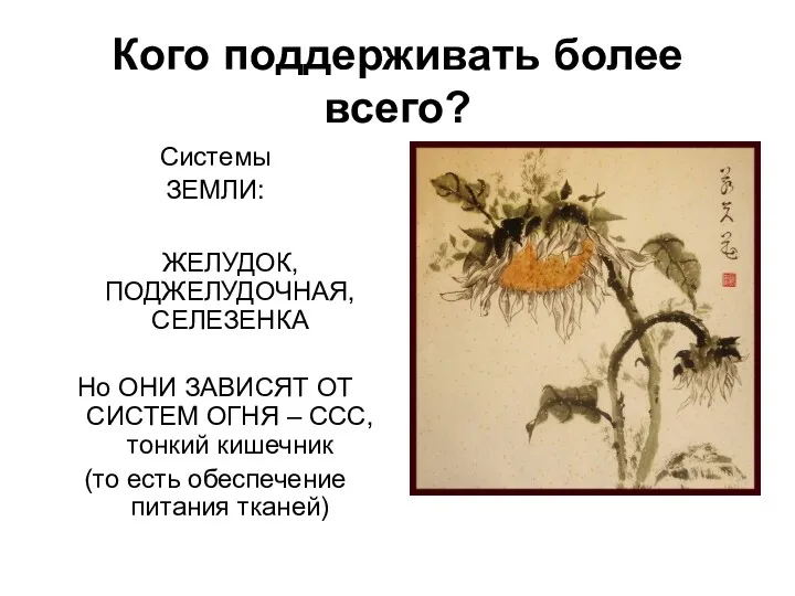 Кого поддерживать более всего? Системы ЗЕМЛИ: ЖЕЛУДОК, ПОДЖЕЛУДОЧНАЯ, СЕЛЕЗЕНКА Но