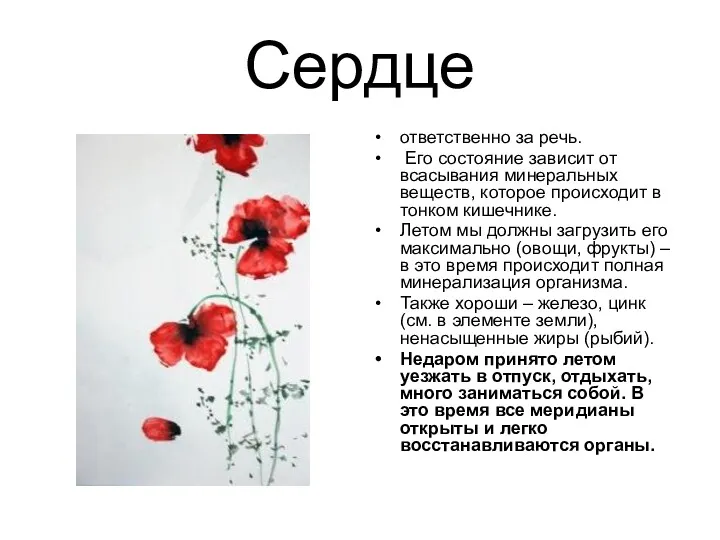 Сердце ответственно за речь. Его состояние зависит от всасывания минеральных