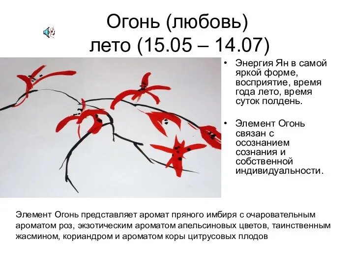 Огонь (любовь) лето (15.05 – 14.07) Энергия Ян в самой