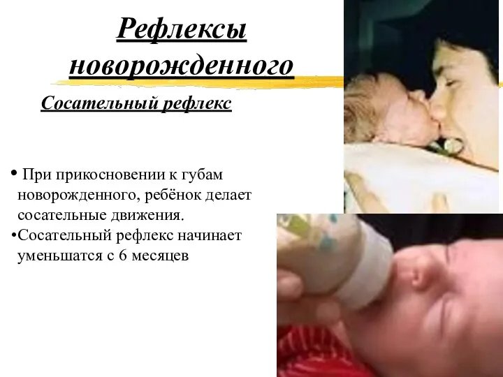 Рефлексы новорожденного Сосательный рефлекс При прикосновении к губам новорожденного, ребёнок