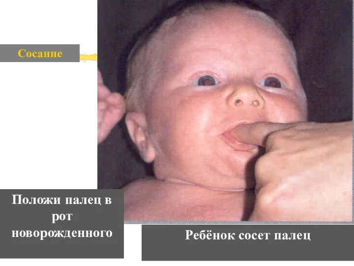 Сосание Положи палец в рот новорожденного Ребёнок сосет палец