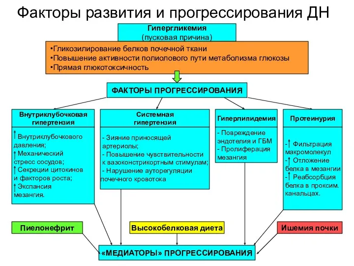 Факторы развития и прогрессирования ДН