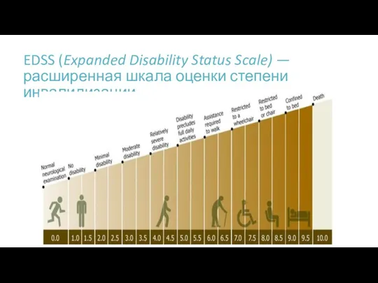 EDSS (Expanded Disability Status Scale) — расширенная шкала оценки степени инвалидизации