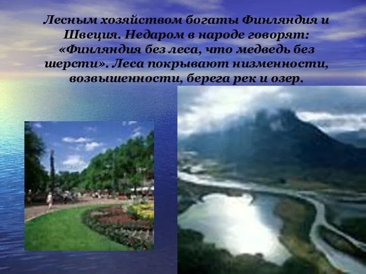 Лесным хозяйством богаты Финляндия и Швеция. Недаром в народе говорят: