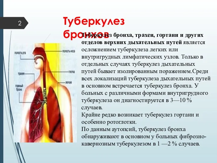 Туберкулез бронхов Туберкулез бронха, трахеи, гортани и других отделов верхних