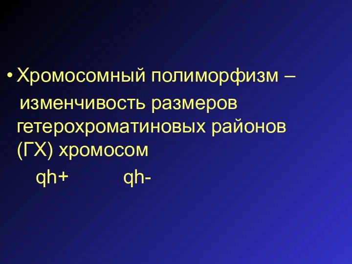 Хромосомный полиморфизм – изменчивость размеров гетерохроматиновых районов(ГХ) хромосом qh+ qh-