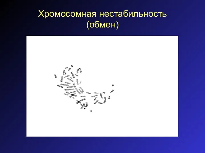 Хромосомная нестабильность (обмен)