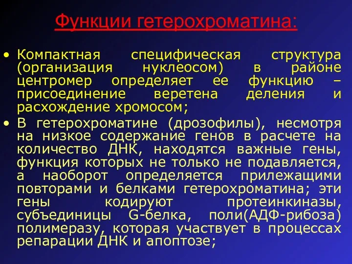 Функции гетерохроматина: Компактная специфическая структура (организация нуклеосом) в районе центромер