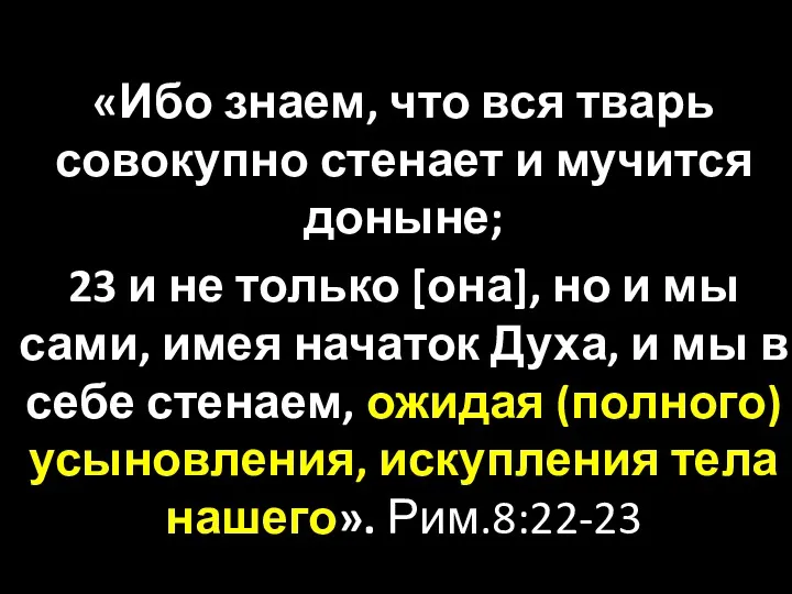 «Ибо знаем, что вся тварь совокупно стенает и мучится доныне;