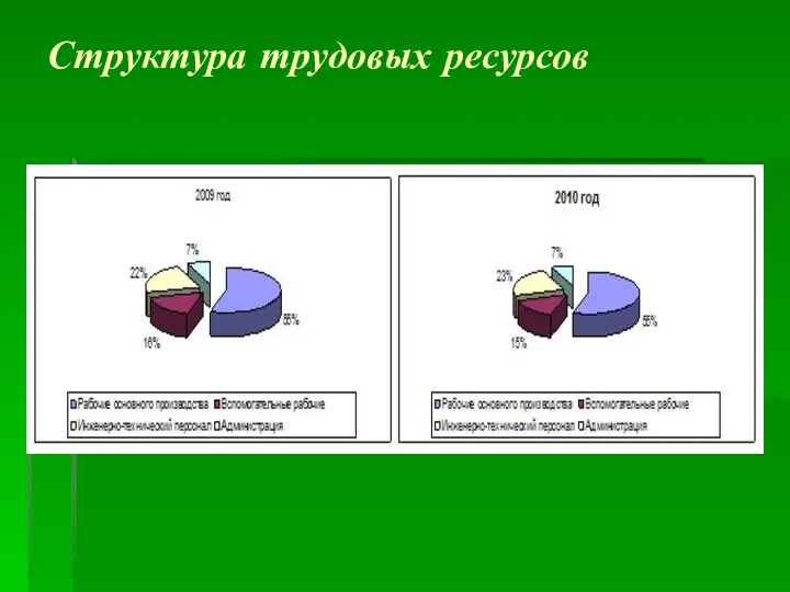 Структура трудовых ресурсов