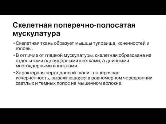 Скелетная поперечно-полосатая мускулатура Скелетная ткань образует мышцы туловища, конечностей и