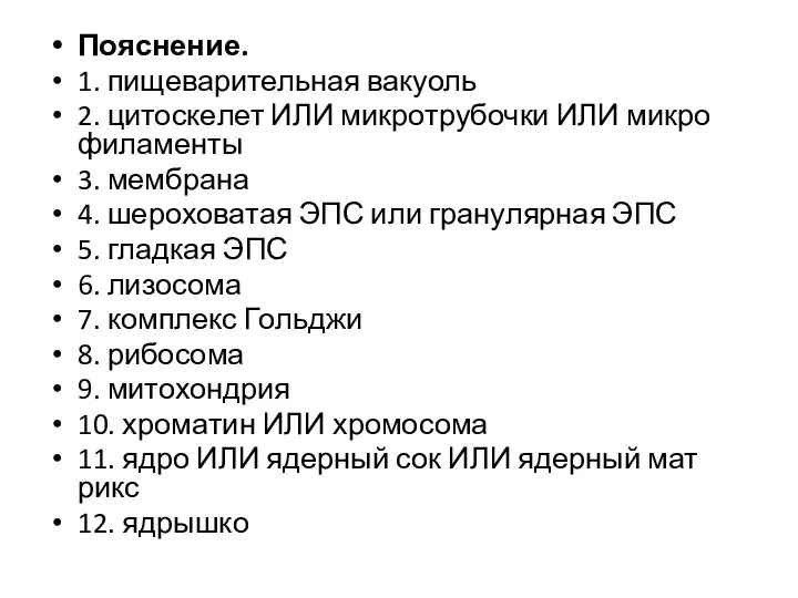 По­яс­не­ние. 1. пи­ще­ва­ри­тель­ная ва­ку­оль 2. ци­тос­ке­лет ИЛИ мик­ро­тру­боч­ки ИЛИ мик­ро­фи­ла­мен­ты