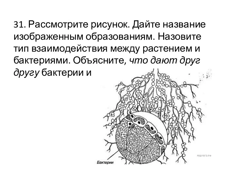 31. Рас­смот­ри­те ри­су­нок. Дайте на­зва­ние изоб­ра­жен­ным об­ра­зо­ва­ни­ям. На­зо­ви­те тип вза­и­мо­дей­ствия