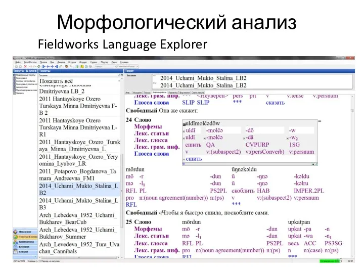 Морфологический анализ Fieldworks Language Explorer