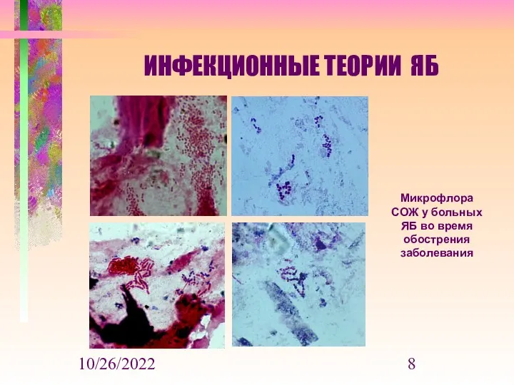 10/26/2022 ИНФЕКЦИОННЫЕ ТЕОРИИ ЯБ Микрофлора СОЖ у больных ЯБ во время обострения заболевания