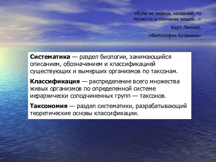 Систематика — раздел биологии, занимающийся описанием, обозначением и классификацией существующих