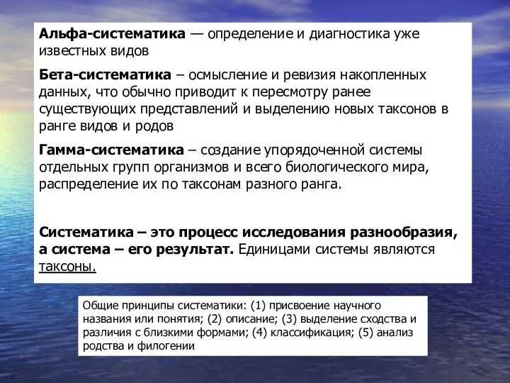 Альфа-систематика — определение и диагностика уже известных видов Бета-систематика –