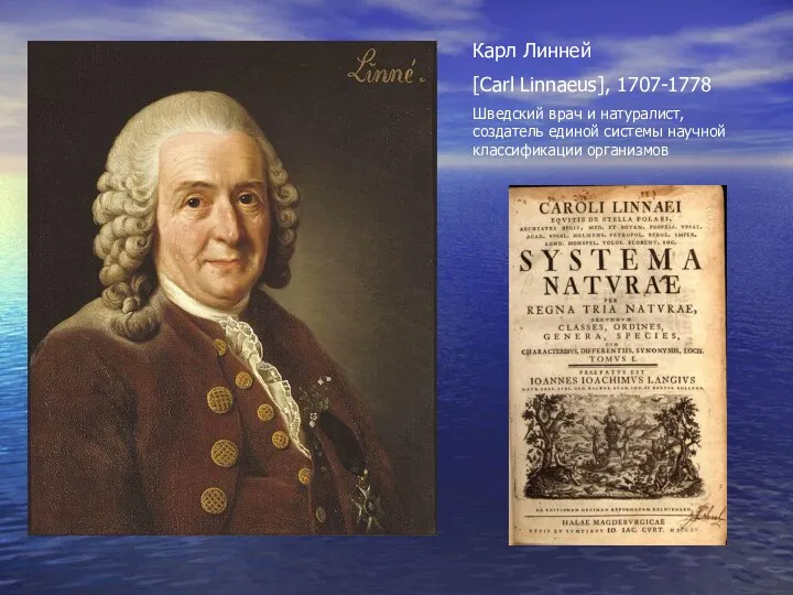 Карл Линней [Carl Linnaeus], 1707-1778 Шведский врач и натуралист, создатель единой системы научной классификации организмов