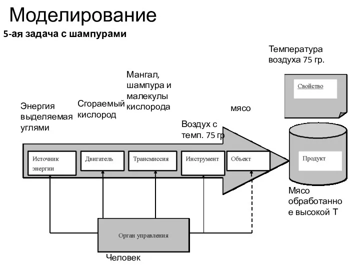 Моделирование 5-ая задача с шампурами мясо Мясо обработанное высокой Т