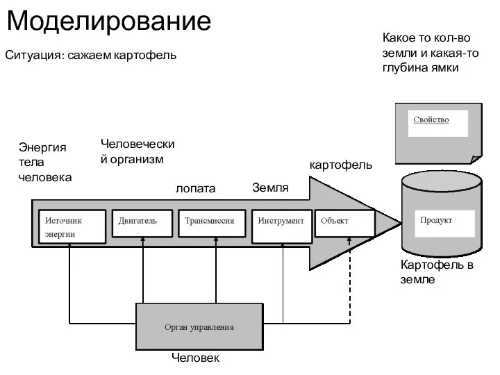 Моделирование картофель Картофель в земле Какое то кол-во земли и