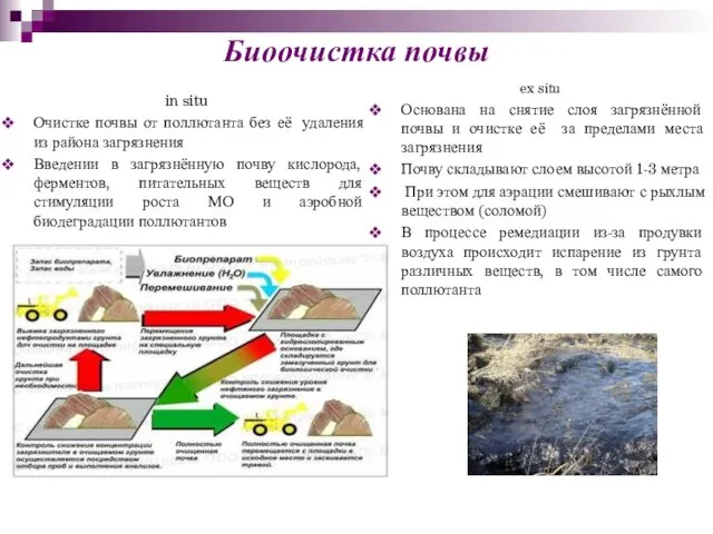 Биоочистка почвы in situ Очистке почвы от поллютанта без её