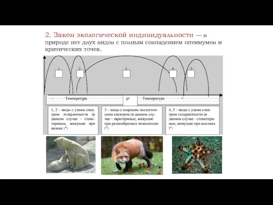 2. Закон экологической индивидуальности — в природе нет двух видов с полным совпадением