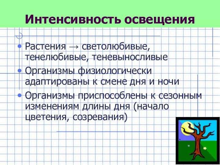 Интенсивность освещения Растения → светолюбивые, тенелюбивые, теневыносливые Организмы физиологически адаптированы