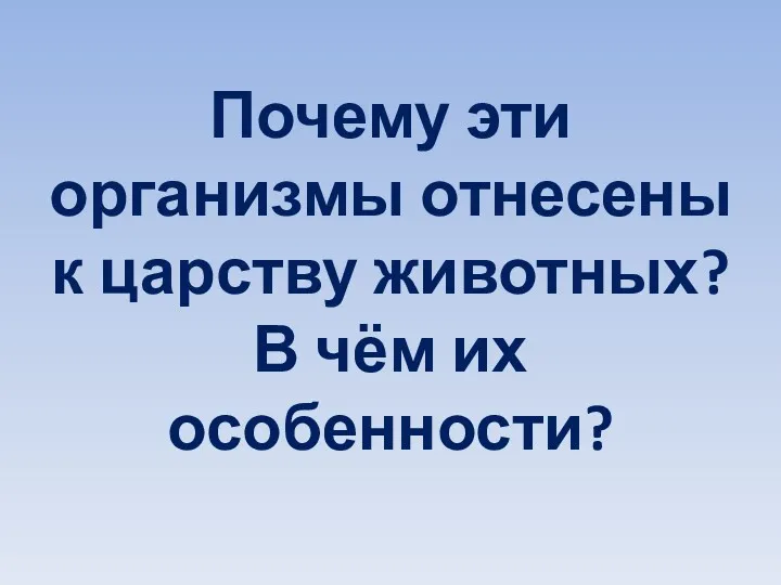 Почему эти организмы отнесены к царству животных? В чём их особенности?