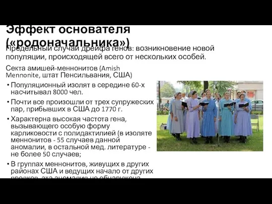 Эффект основателя («родоначальника») Секта амишей-меннонитов (Amish Mennonite, штат Пенсильвания, США)