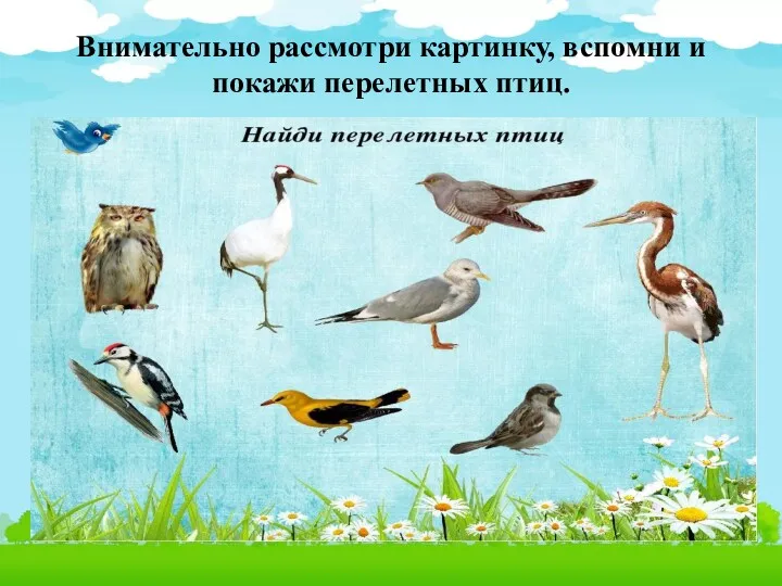 Внимательно рассмотри картинку, вспомни и покажи перелетных птиц.