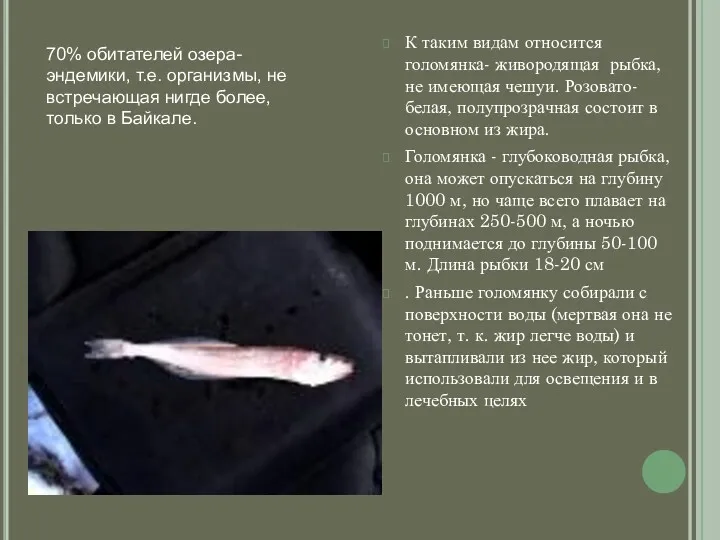 К таким видам относится голомянка- живородящая рыбка, не имеющая чешуи. Розовато- белая, полупрозрачная