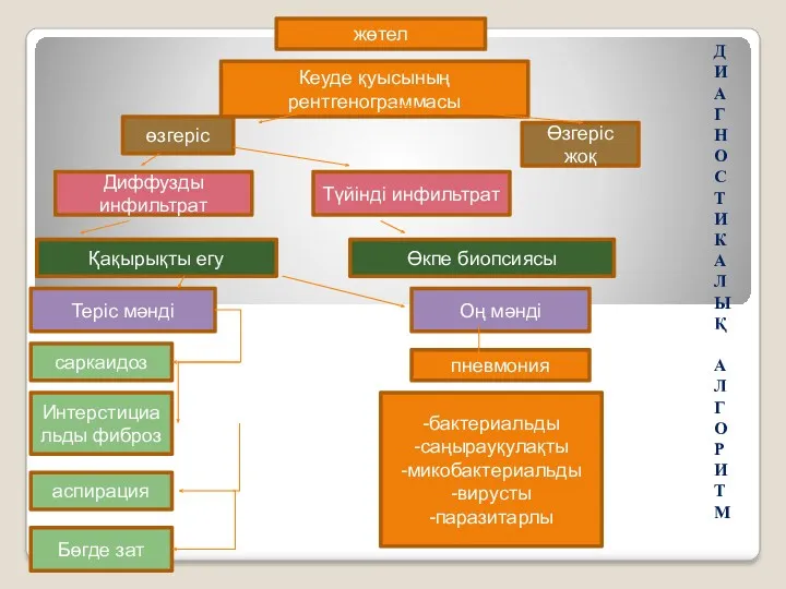 жөтел Кеуде қуысының рентгенограммасы өзгеріс Өзгеріс жоқ Диффузды инфильтрат Түйінді