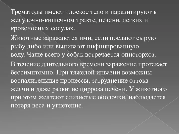 Трематоды имеют плоское тело и паразитируют в желудочно-кишечном тракте, печени,