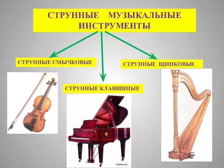 СТРУННЫЕ МУЗЫКАЛЬНЫЕ ИНСТРУМЕНТЫ СТРУННЫЕ СМЫЧКОВЫЕ СТРУННЫЕ ЩИПКОВЫЕ СТРУННЫЕ КЛАВИШНЫЕ