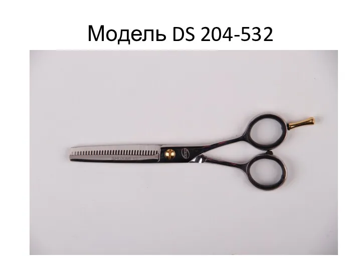 Модель DS 204-532