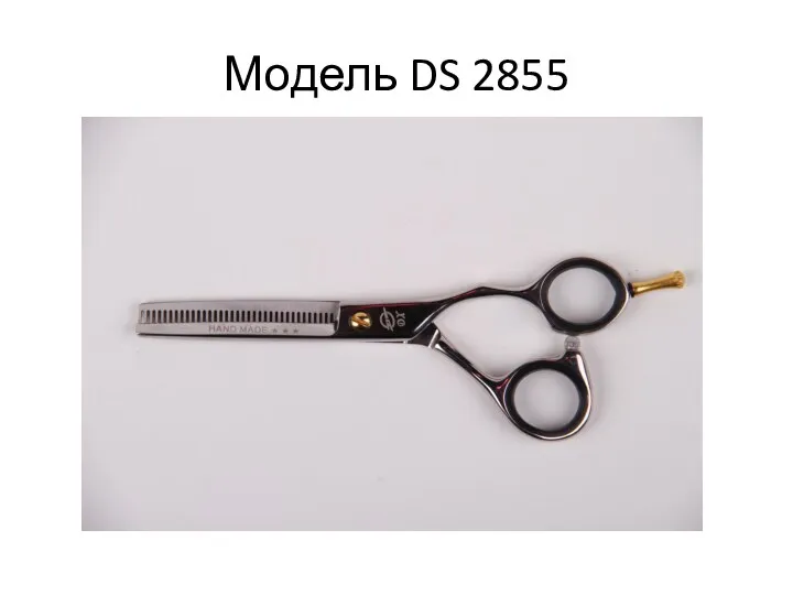 Модель DS 2855