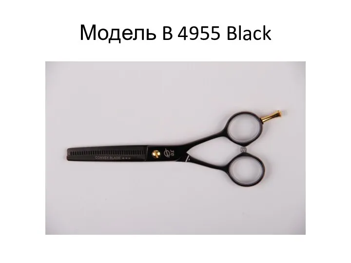 Модель B 4955 Black