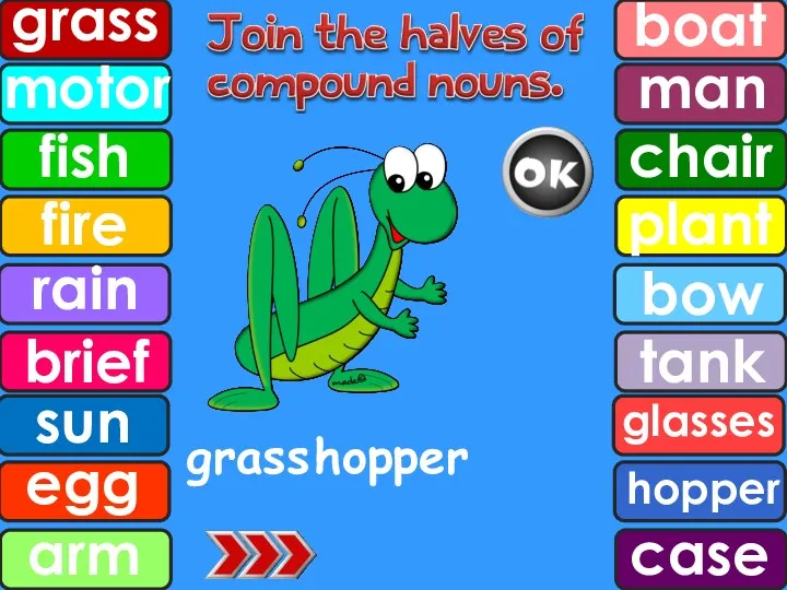 grass hopper