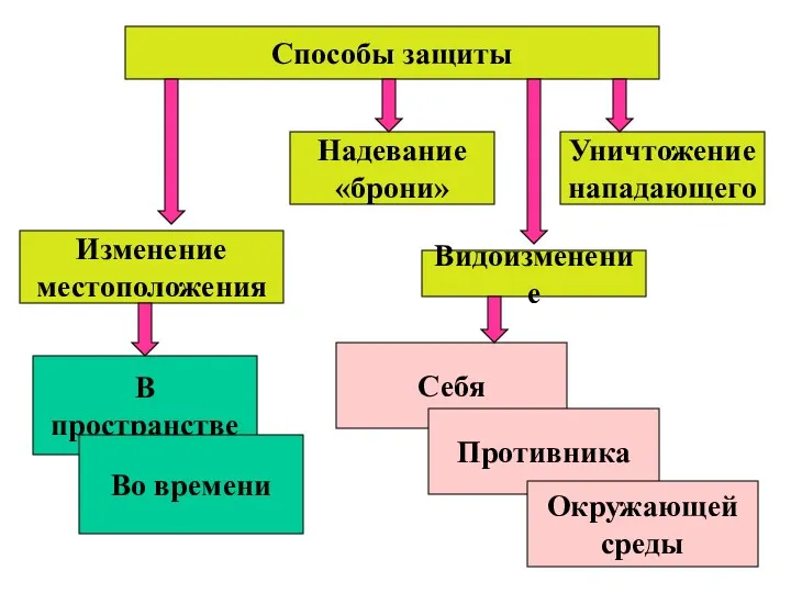 Способы защиты Видоизменение Уничтожение нападающего Изменение местоположения Надевание «брони» В