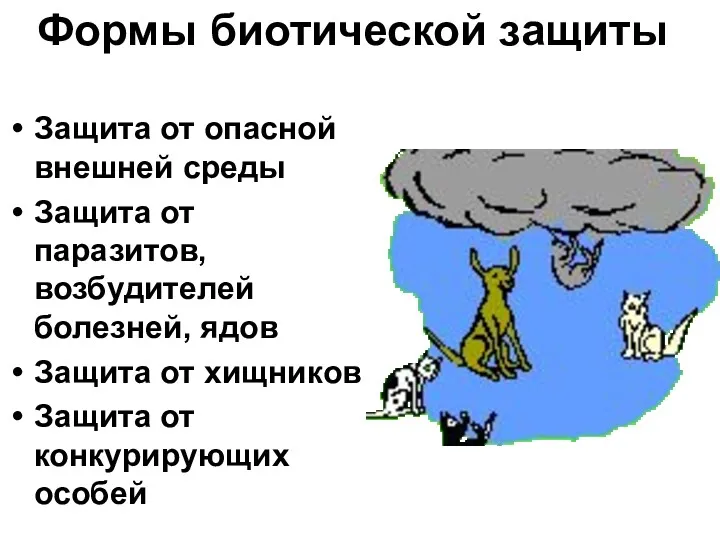 Формы биотической защиты Защита от опасной внешней среды Защита от