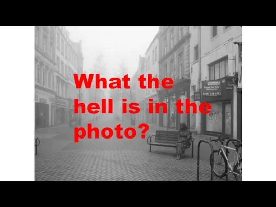 What the hell is in the photo?