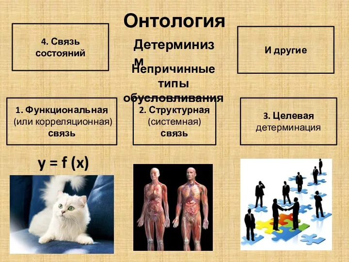 Онтология Детерминизм Непричинные типы обусловливания 1. Функциональная (или корреляционная) связь