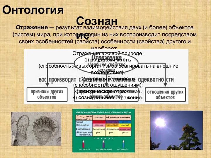 Онтология Сознание Отражение — результат взаимодействия двух (и более) объектов