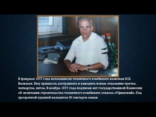 В феврале 1977 года начальником тепличного комбината назначен Н.Е. Васильев.