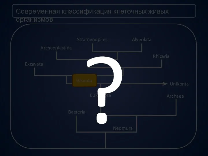 Современная классификация клеточных живых организмов Bacteria Neomura Eukaryota Archaea Unikonta