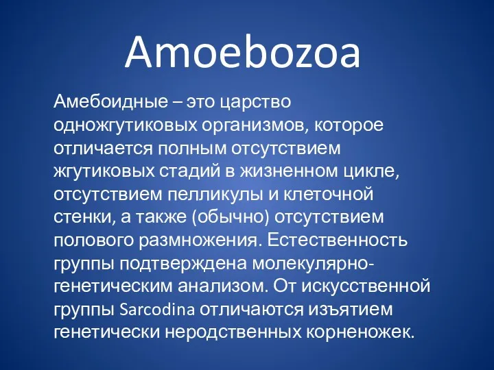 Амебоидные – это царство одножгутиковых организмов, которое отличается полным отсутствием