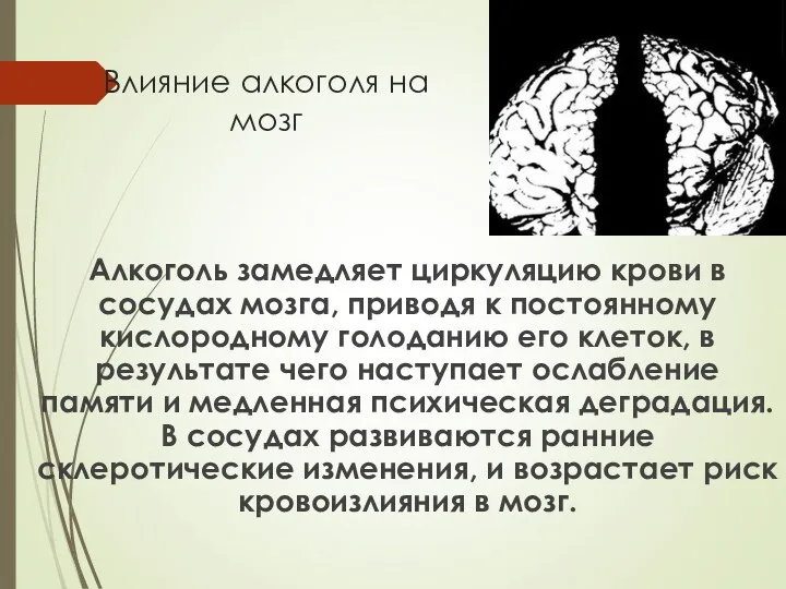 Влияние алкоголя на мозг Алкоголь замедляет циркуляцию крови в сосудах