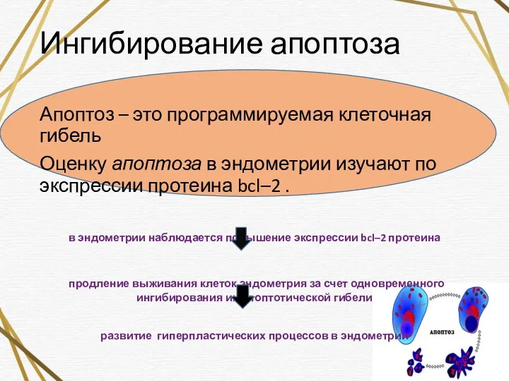 Ингибирование апоптоза Апоптоз – это программируемая клеточная гибель Оценку апоптоза