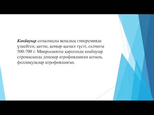 Көкбауыр созылмалы веналық гиперемияда үлкейген, қатты, қоңыр-қызыл түсті, салмағы 500-700