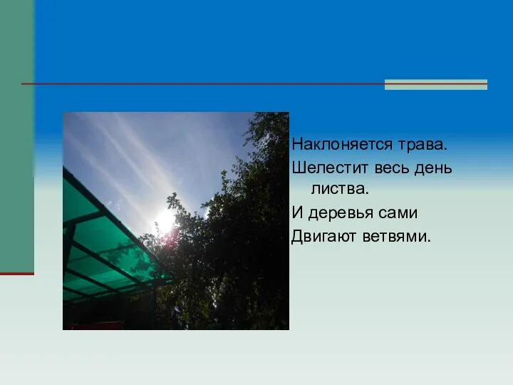 Наклоняется трава. Шелестит весь день листва. И деревья сами Двигают ветвями.